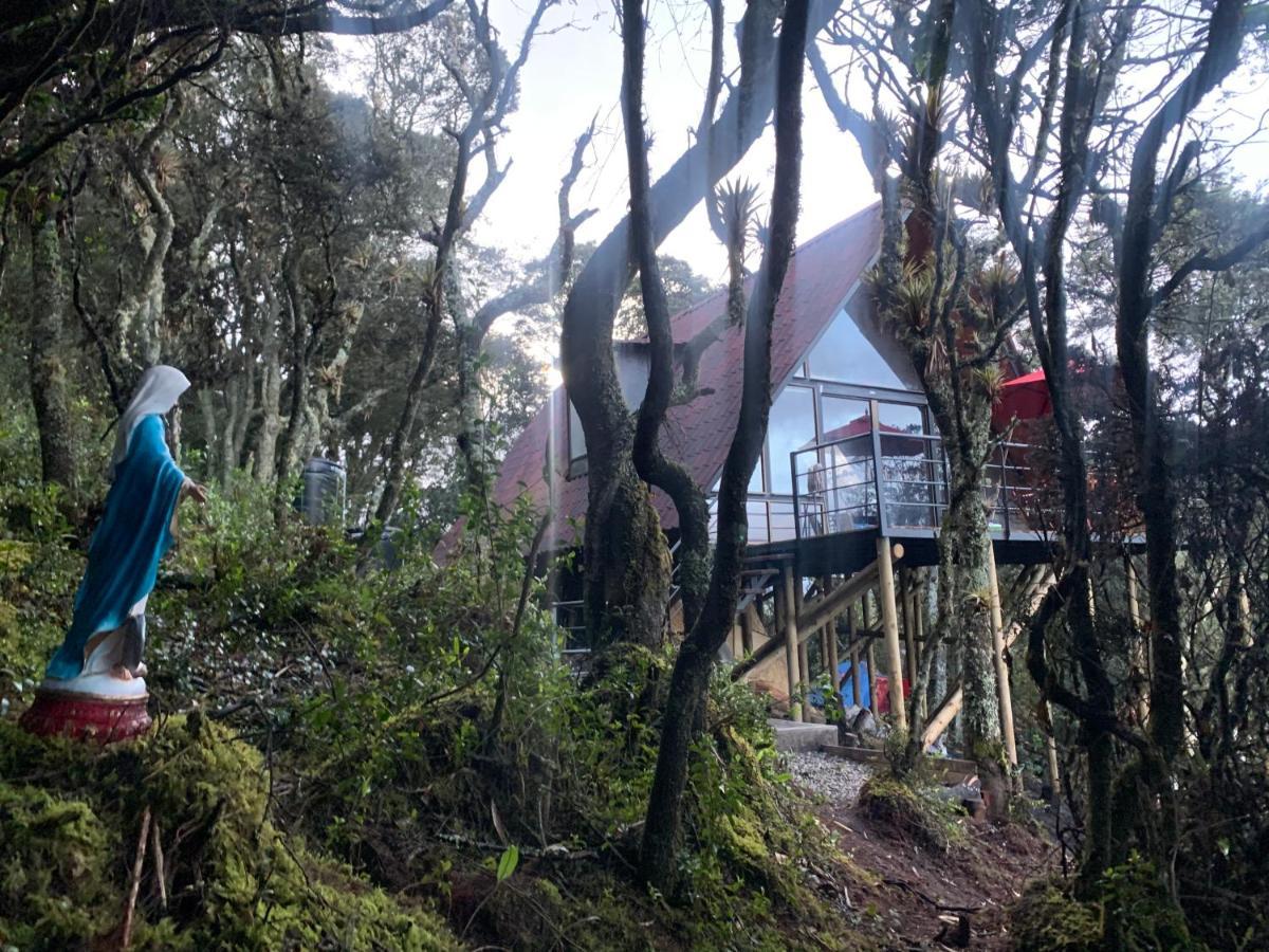 Mirador Bosque Gran Torino Neusa Cogua Zewnętrze zdjęcie