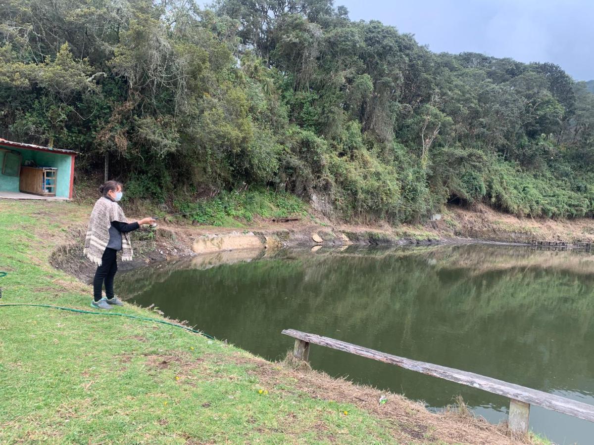 Mirador Bosque Gran Torino Neusa Cogua Zewnętrze zdjęcie