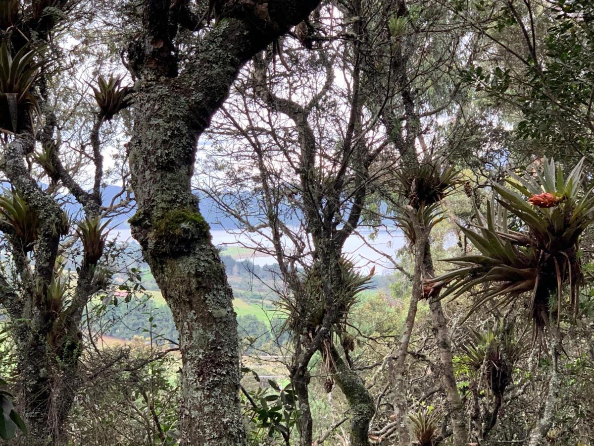 Mirador Bosque Gran Torino Neusa Cogua Zewnętrze zdjęcie