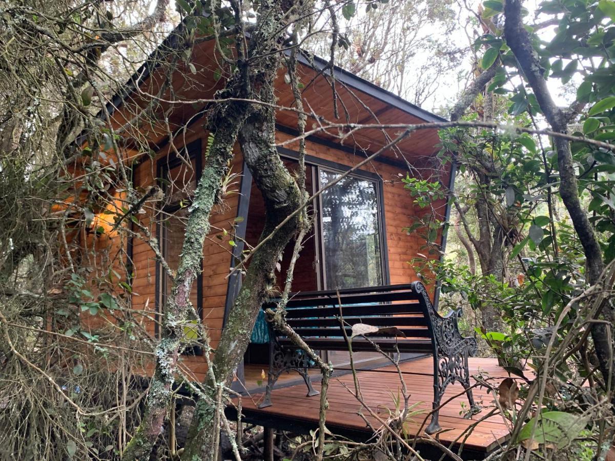 Mirador Bosque Gran Torino Neusa Cogua Zewnętrze zdjęcie