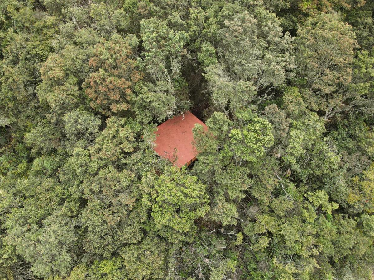 Mirador Bosque Gran Torino Neusa Cogua Zewnętrze zdjęcie