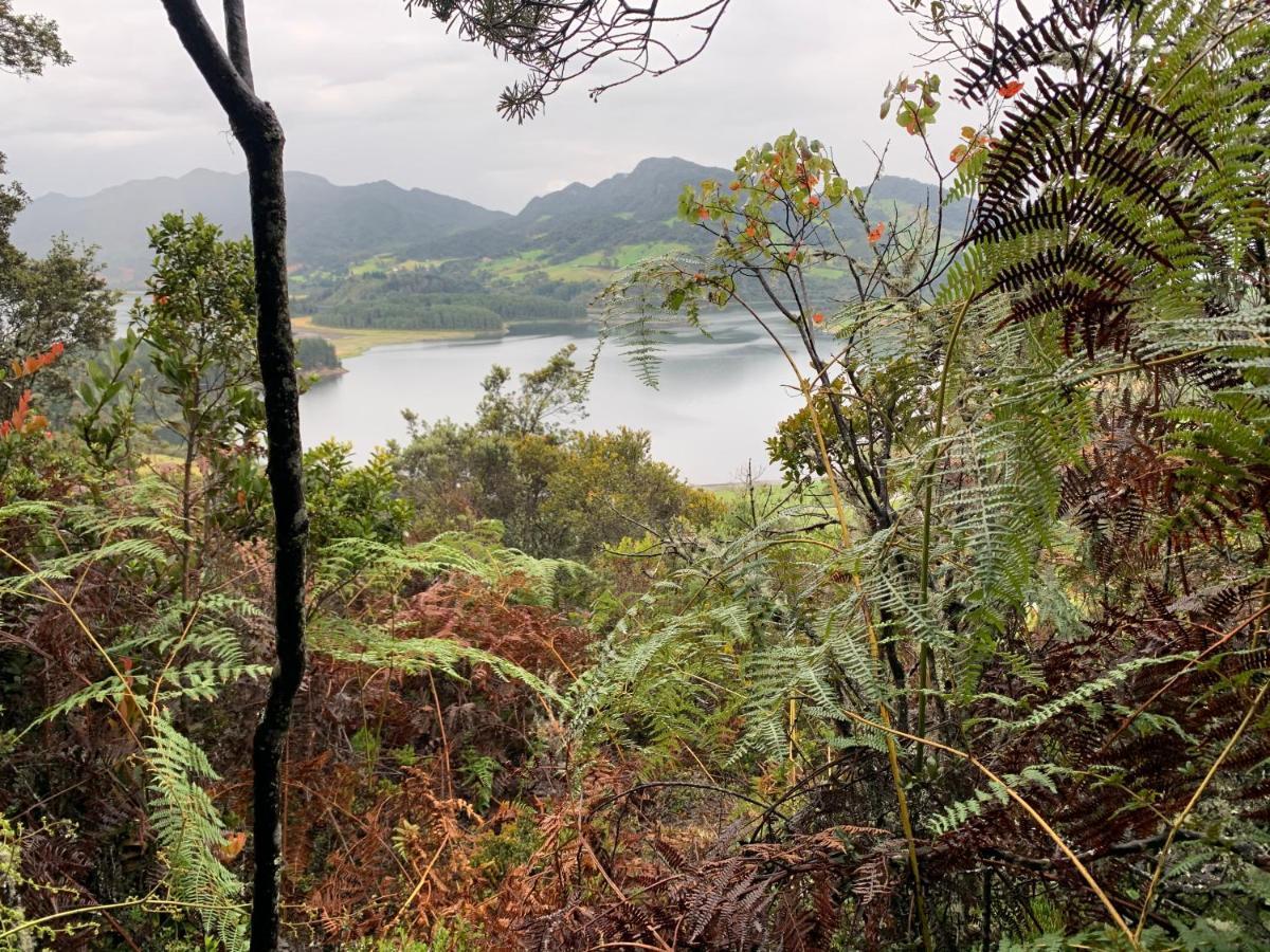 Mirador Bosque Gran Torino Neusa Cogua Zewnętrze zdjęcie